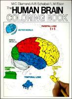 Human Brain Coloring Book