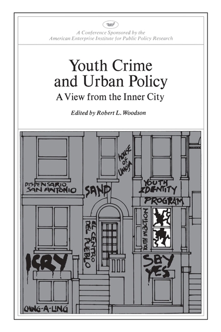 Youth Crime and Urban Policy: A View from the Inner City (Revised)