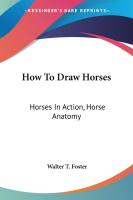 How To Draw Horses  Horses In Action  Horse Anatomy