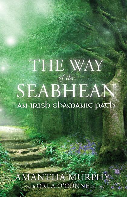 Way of the Seabhean: An Irish Shamanic Path