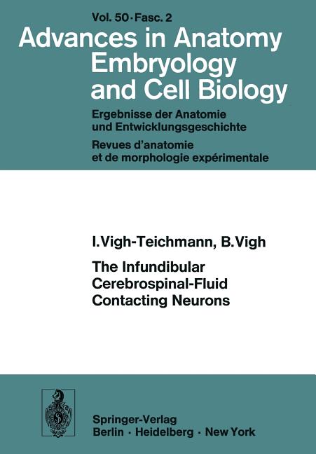 Infundibular Cerebrospinal-Fluid Contacting Neurons