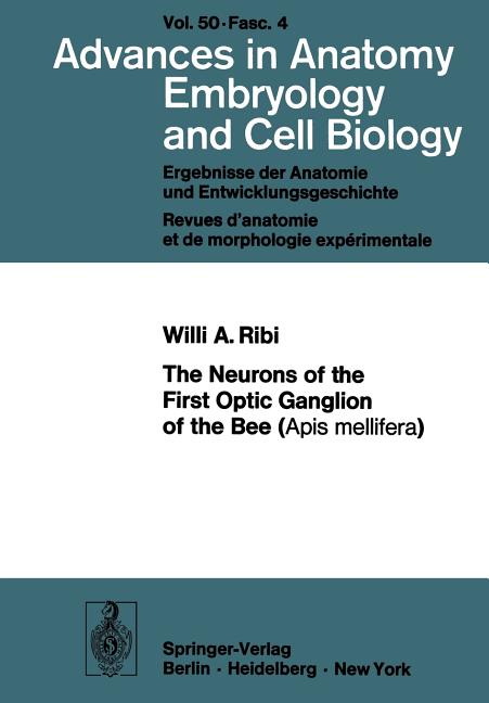Neurons of the First Optic Ganglion of the Bee (APIs Mellifera) (1975)