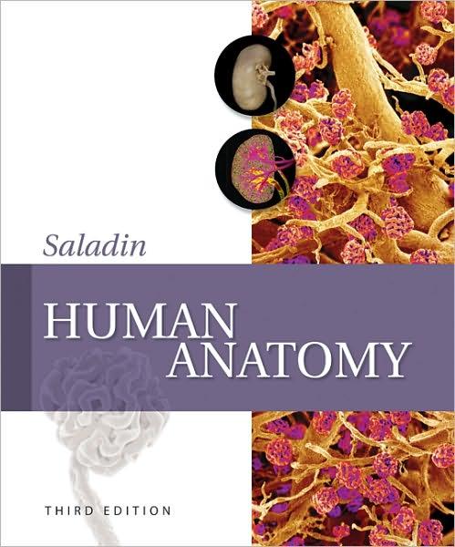 Human Anatomy 3rd edition