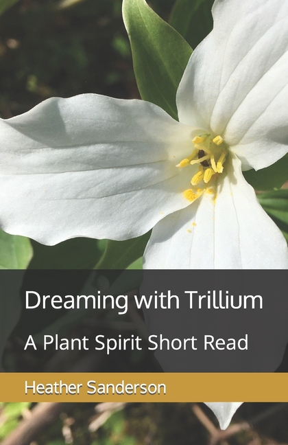 Dreaming with Trillium: A Plant Spirit Short Read