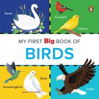 My First Big Book of Birds  Illustrated Board Book of Birds for PreSchool Kids  Toddlers   Book for